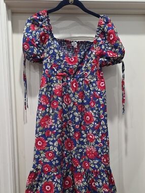 Blu Pepper Blue Floral Puff-Sleeve Dress with Red Flowers